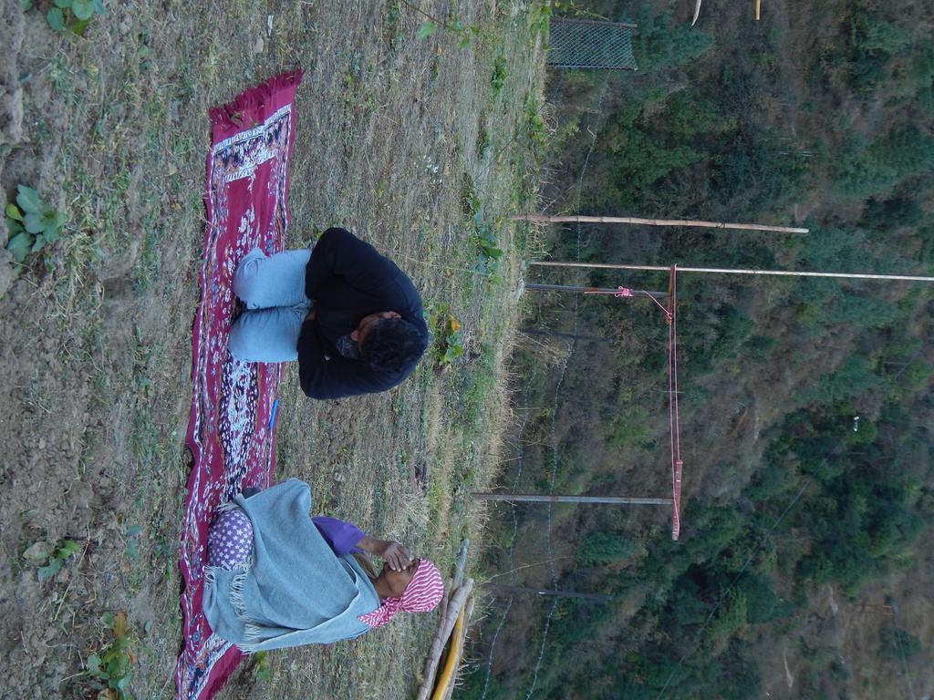 Dhanaulti Camp Homes Retreat Dış mekan fotoğraf
