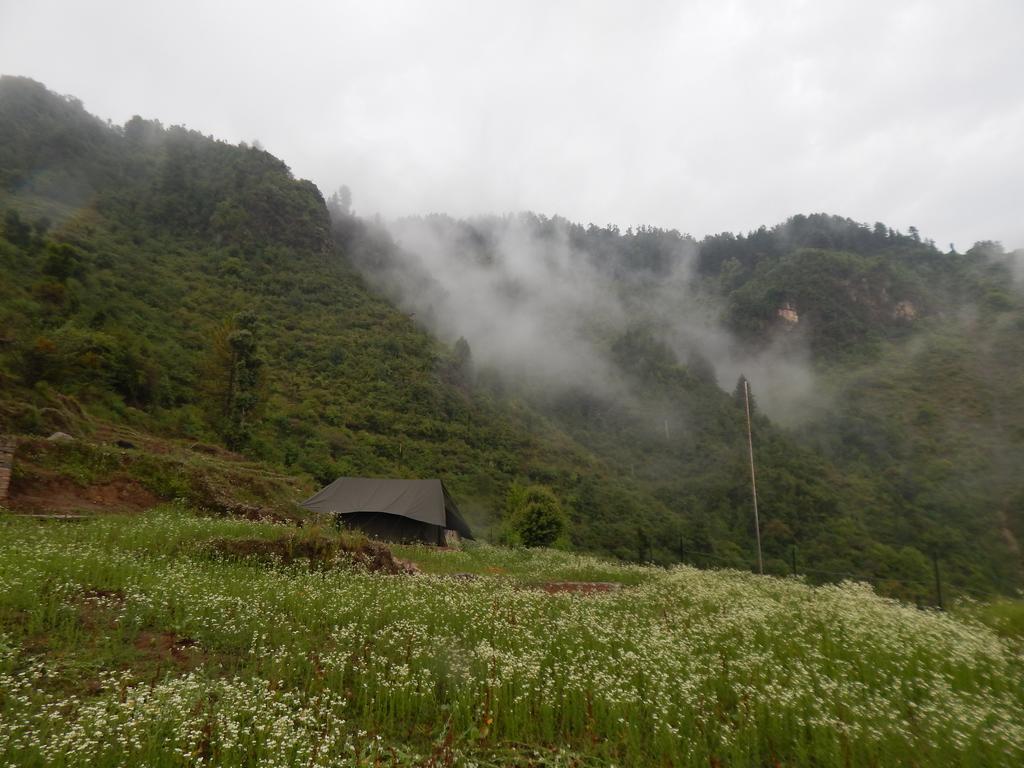 Dhanaulti Camp Homes Retreat Dış mekan fotoğraf
