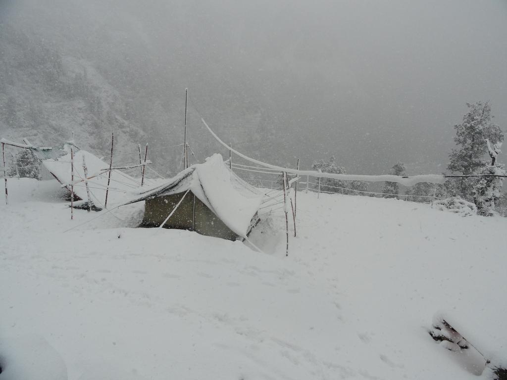 Dhanaulti Camp Homes Retreat Dış mekan fotoğraf